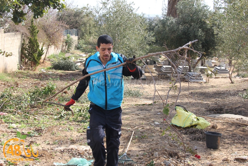 taso mashro3 tandaef (8).JPG